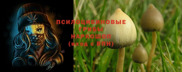 молекула духа Балабаново