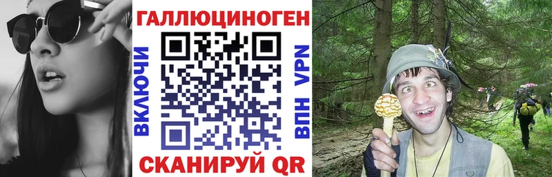 Галлюциногенные грибы Psilocybe  Озёры 